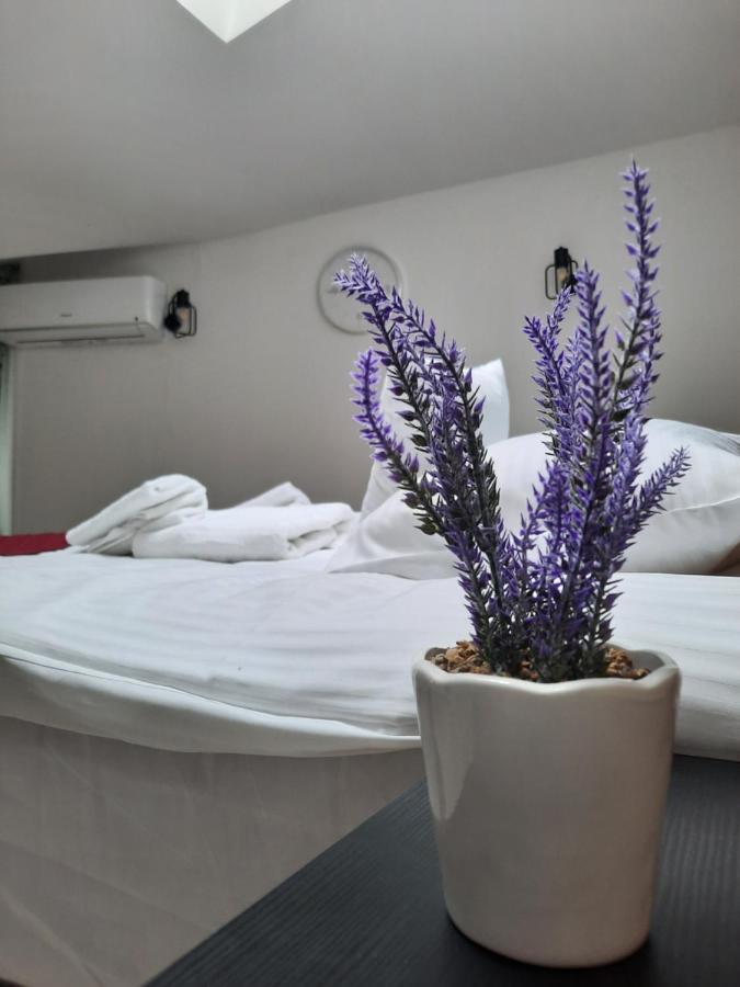 Exclusive Art Apartment Cracovia Exterior foto